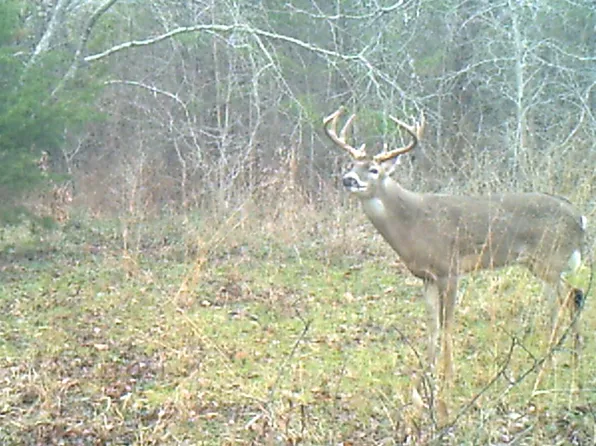 3324A NW County Road 3206, Dawson, TX 76639