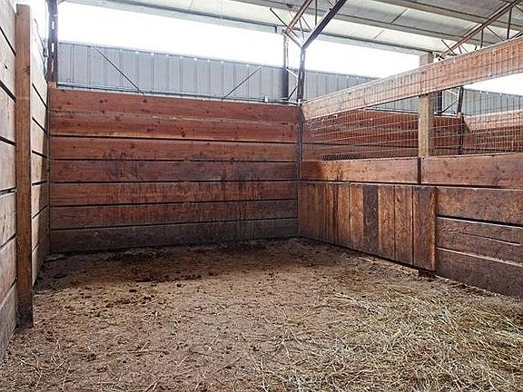 large sturdy horse stalls