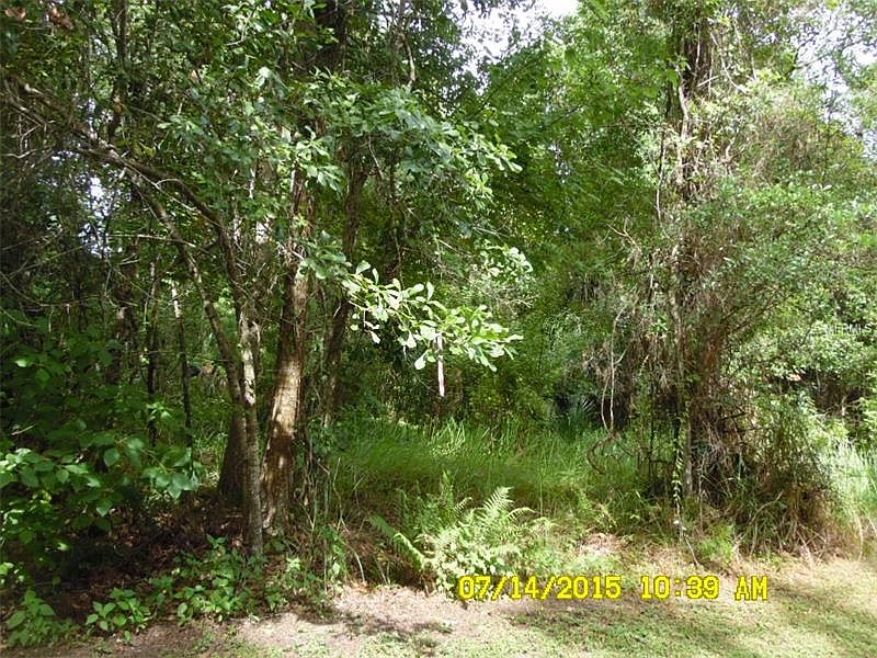 2nd image of Thistle Hill Dr