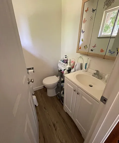 Half Bath in Master Bedroom