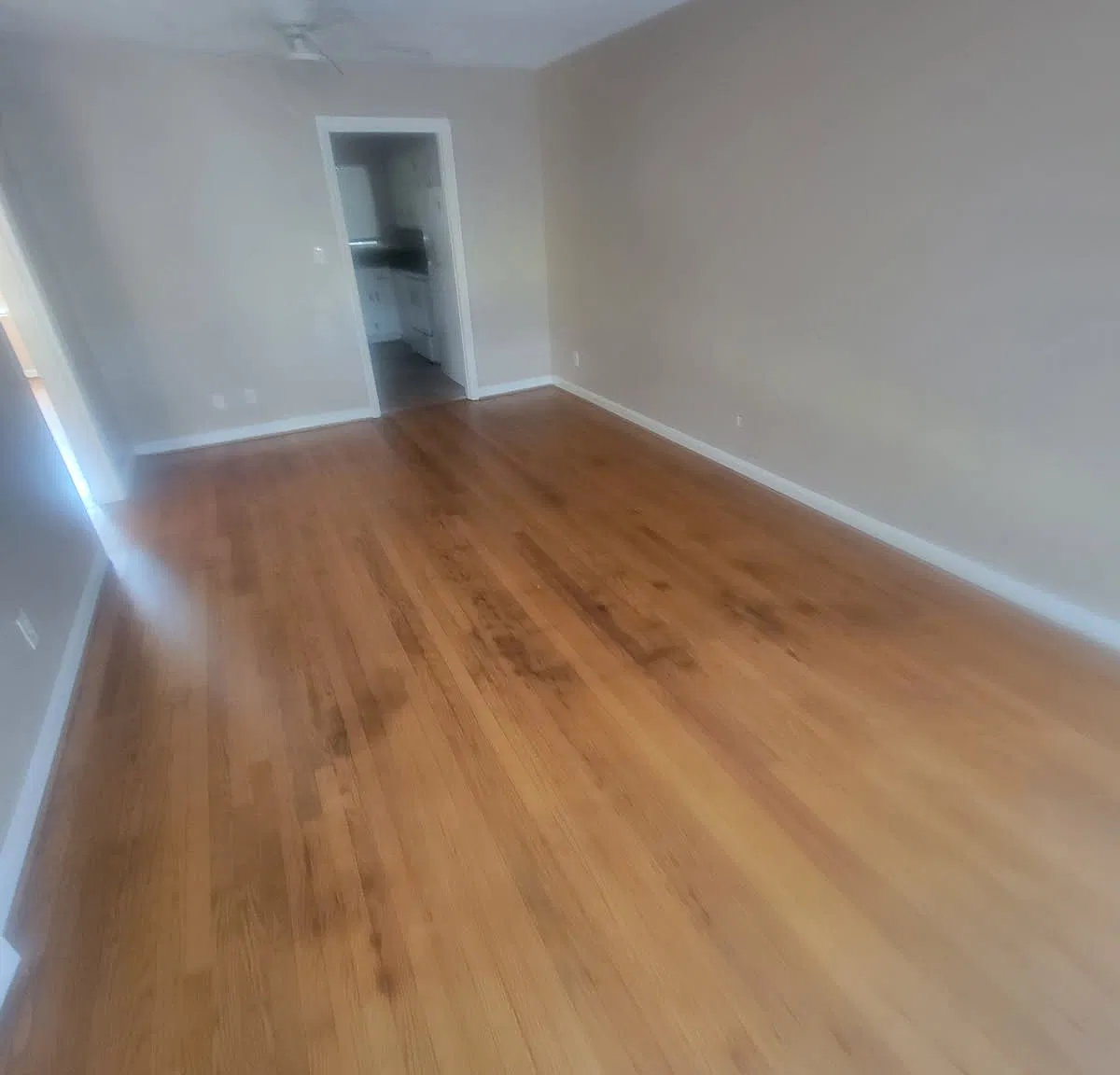2 bed, 800 sqft, $1,100 — Photo 4