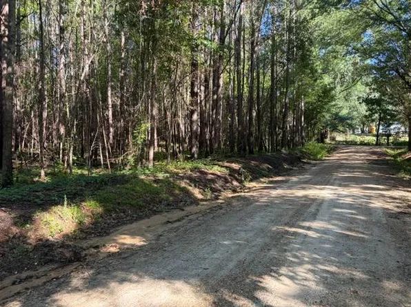 124 Hawkins Rd, Dozier, AL 36028