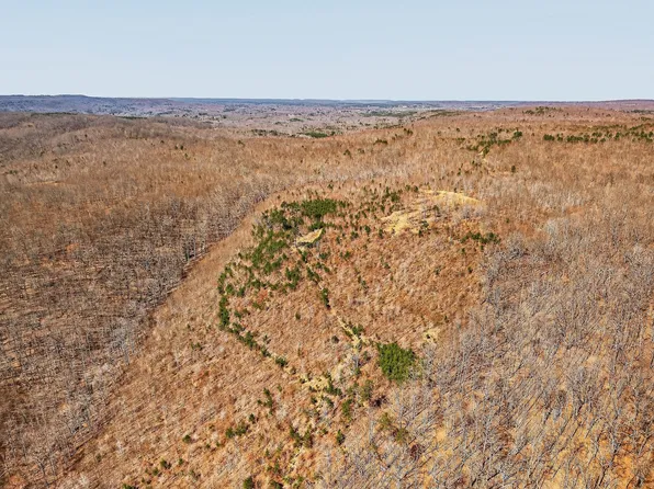 253 Daus Mountain Rd, Palmer, TN 37365