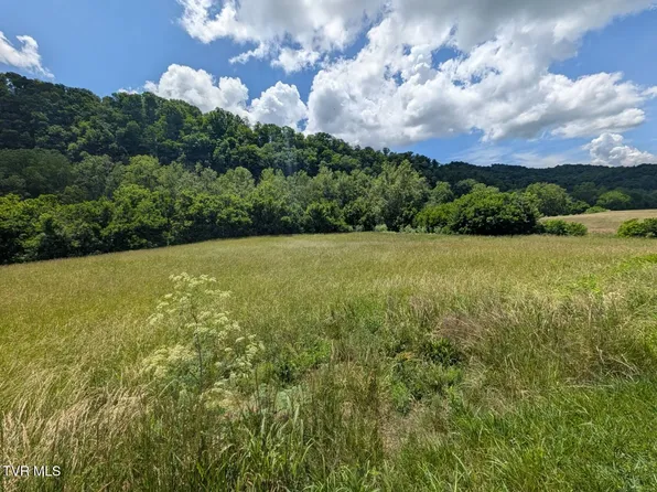 Clinch River Hwy, Gate City, VA 24251