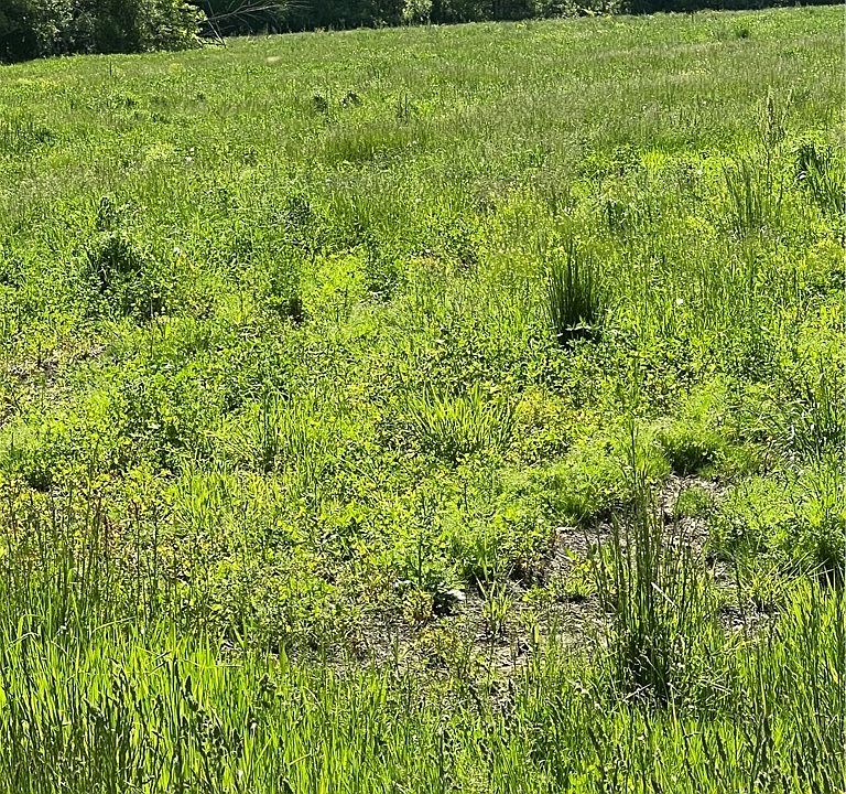 1st image of 3554 & 3548 Beebe Rd Lot 12