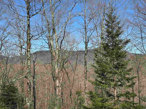 00 Ice Pond Road, Chittenden, VT 05763