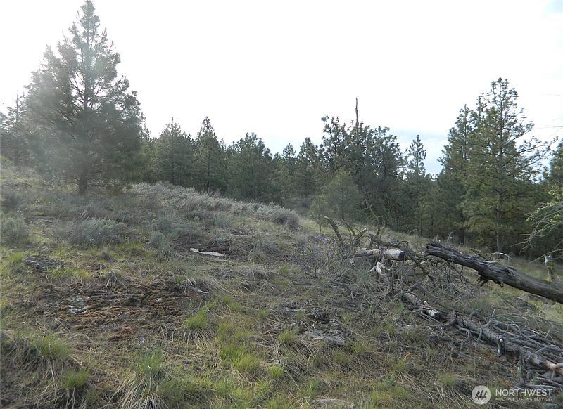 5th image of 0 TBD Rehmke Road