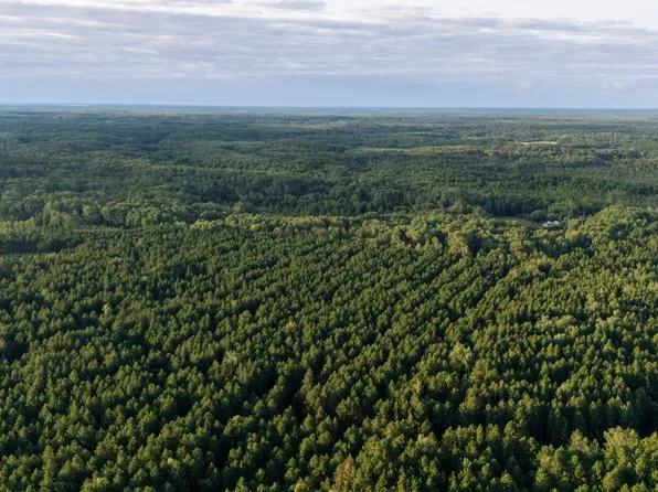 Nesw Forest Rd NE #3845, Pennington, MN 56663