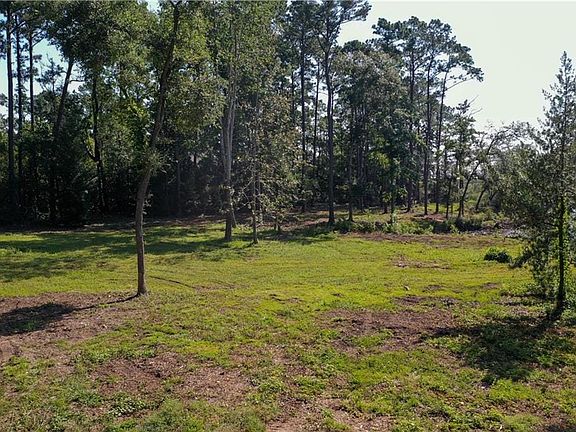 Expansive lot featuring a mix of cleared green space and mature trees, bordered by a dense wooded area
