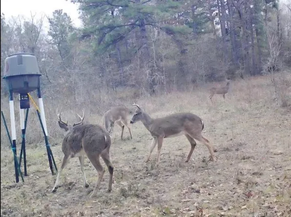 0 Archie Rd, Huntsville, TX 77320