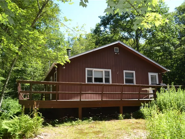3897 Campbell Mountain Rd, Downsville, NY 13755