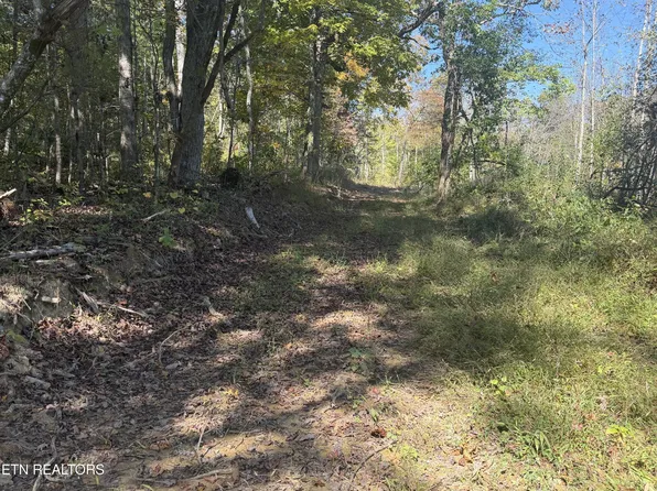 2697 Mount Helen Rd, Allardt, TN 38504