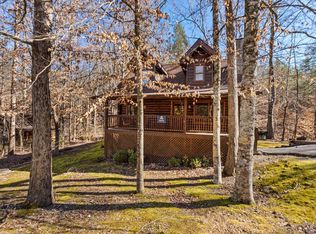 707 Osprey Pigeon, Mountain City, TN 37683