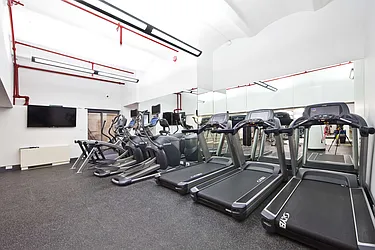 Rented by Bold New York