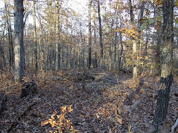 3rd image of Carew Ln