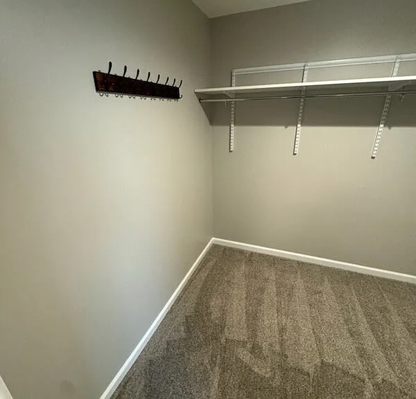 229 Bruns Dr — Photo 13