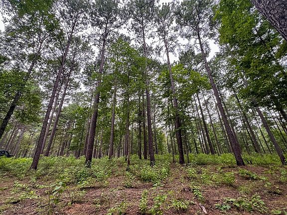 14ac Arledgetrail 19