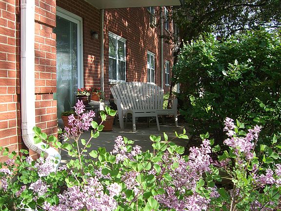 garden patio