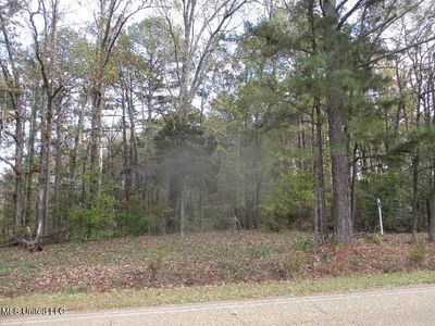 0 Terry Rd, Terry, MS, 39170