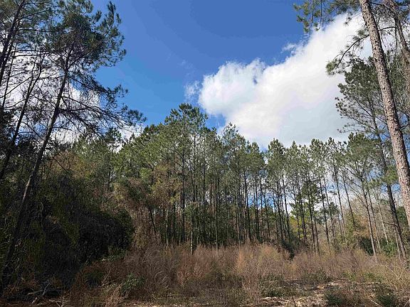 4th image of County Road 721
