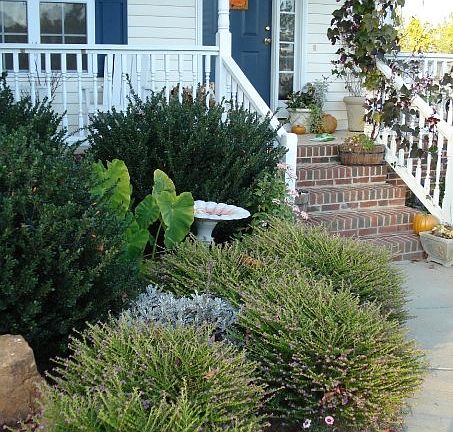 front walkway