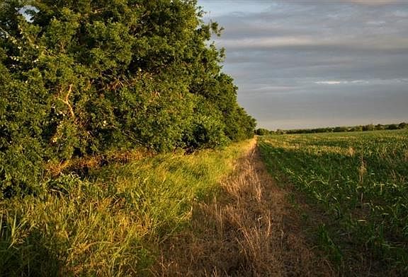 4th image of 3856 County Road 412