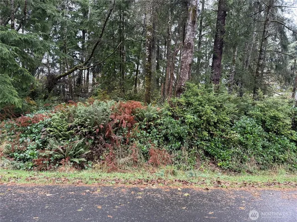 664 Chenois Avenue NE, Ocean Shores, WA 98569