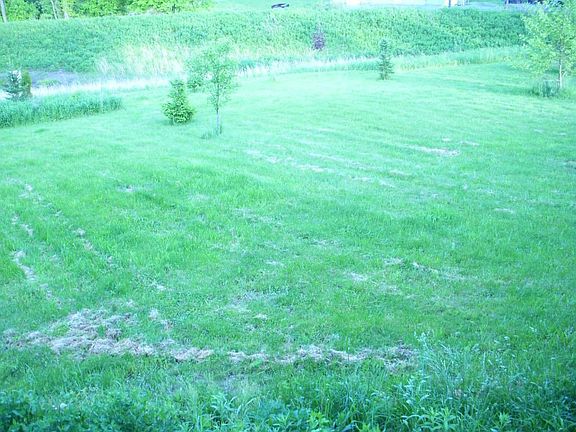 over 1.24 acre level lot