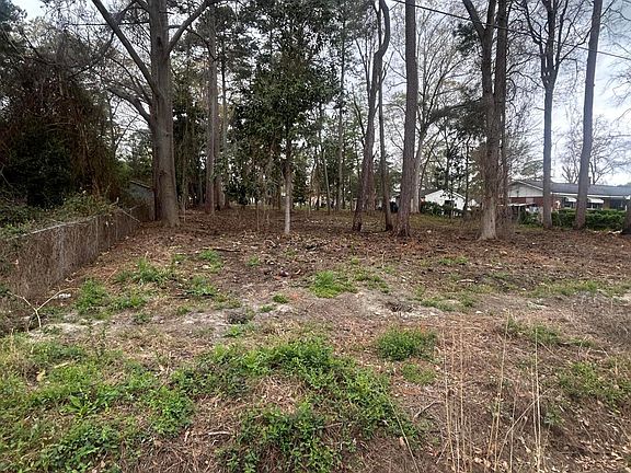 4th image of 205 Nancy Dr Lot 9