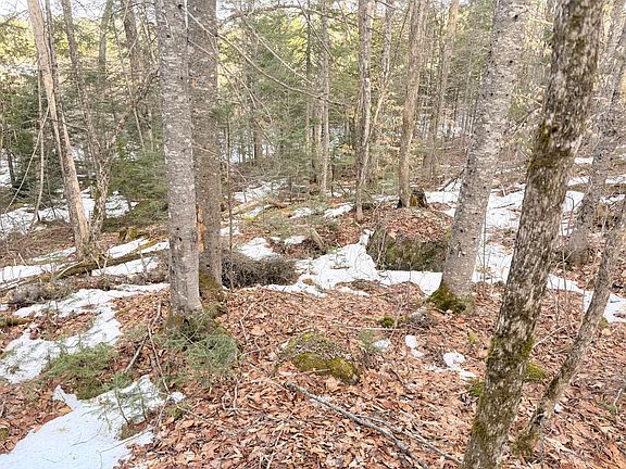 3rd image of 370 Maple Road