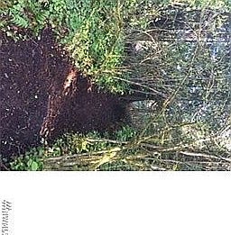 4th image of 14468 Komedal Rd NE