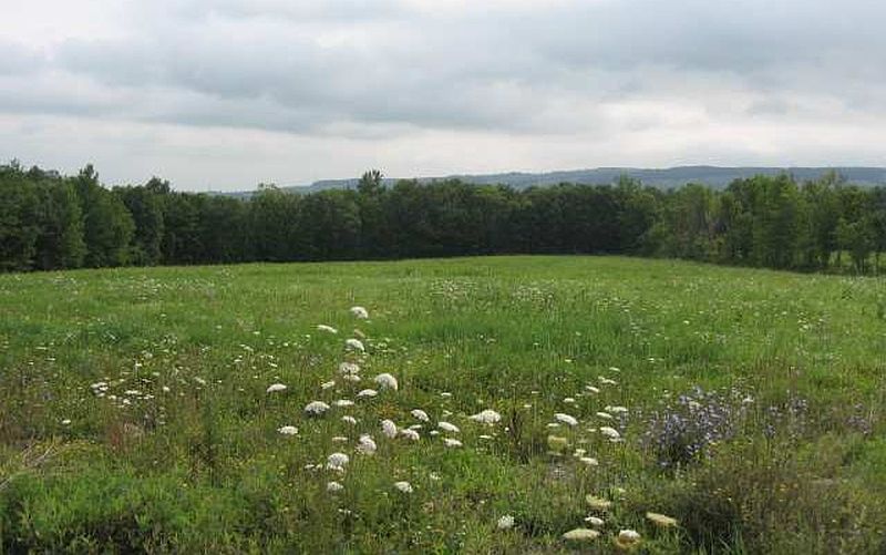 3rd image of 0 HUGHES Road