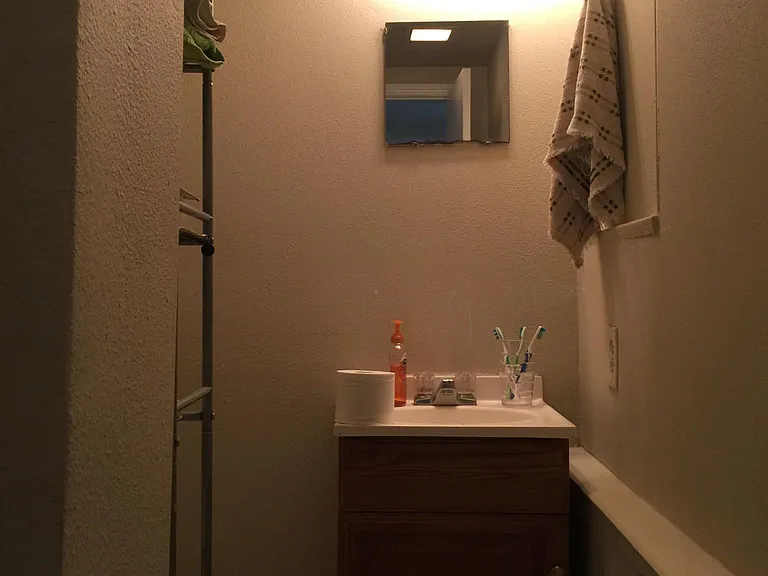 Bathroom has a shower, no tub.