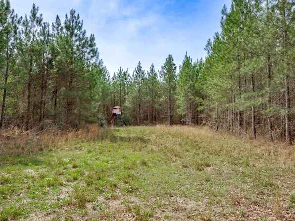 0 Watkins Pond Rd Tract 2, Waynesboro, GA 30830
