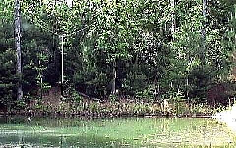 Pond Located on property