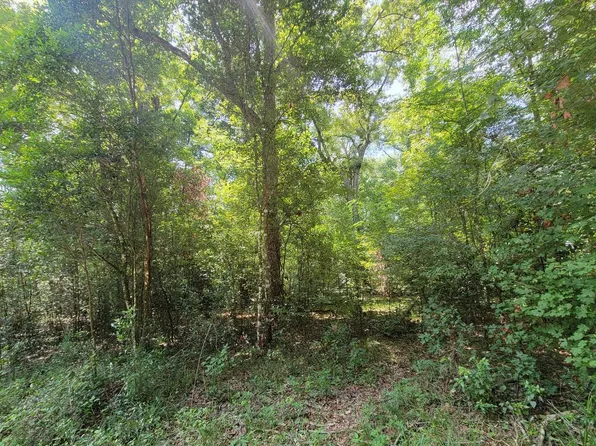 LOT 13 284th St, Branford, FL 32008