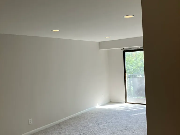 Large living room