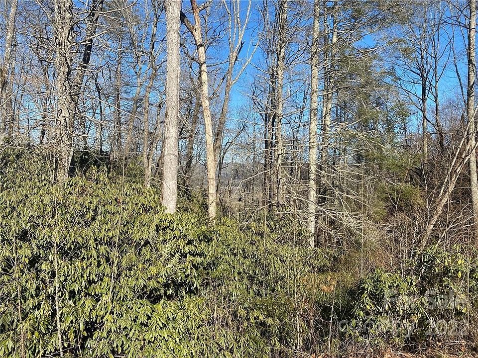 1st image of Tbd Pisgah Forest Dr #10