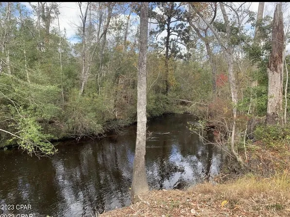 Xx Pippin Cemetery Rd, Clarksville, FL 32430