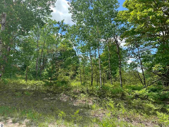 0 Wrenwood Dr Lot 973, Elmira, MI 49730