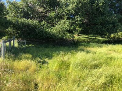 2715 Hoboken Creek Rd, Greenwood, CA, 95635