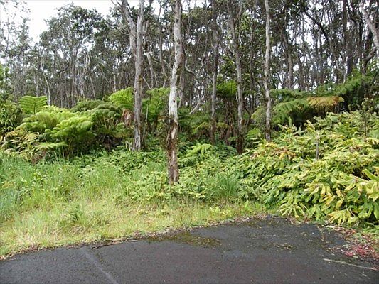 2nd image of Kilauea Road Private Lot E