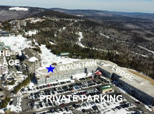 343 Mountain Ldg, Snowshoe, WV 26209