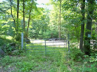 167 Acres Ralph Rd, Lake Luzerne, NY 12846