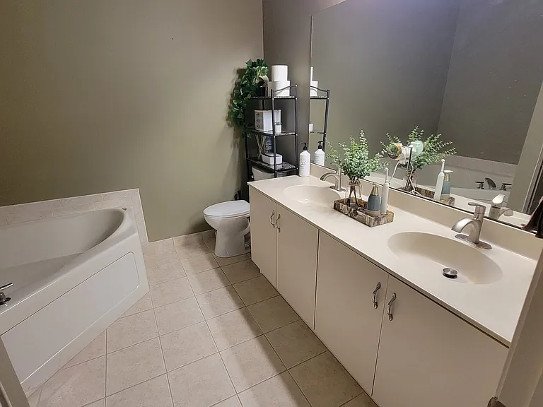 Master bathroom view 1