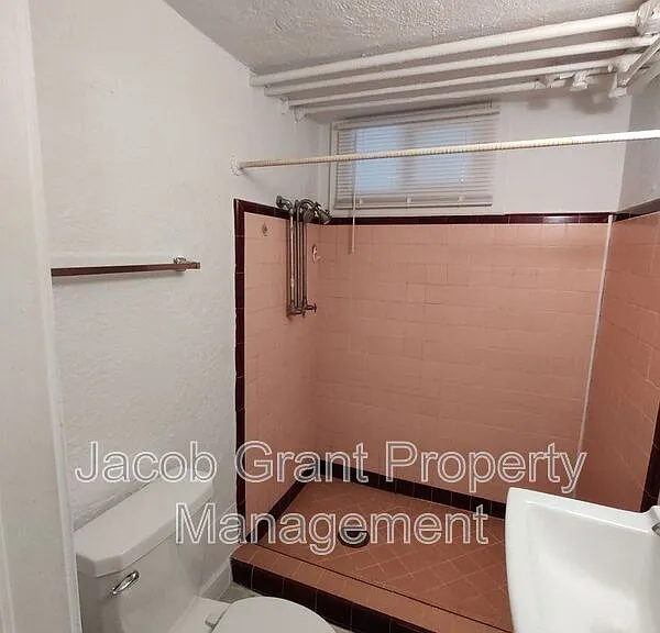 618 S 4th Ave #4 — Photo 9