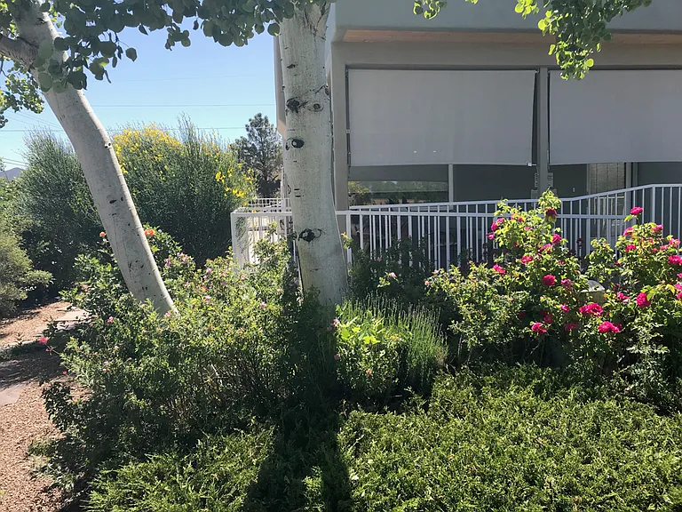1201 Don Diego Ave — Photo 31