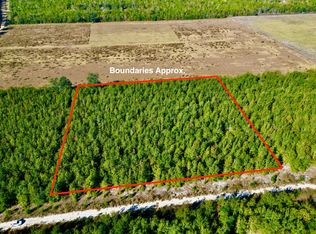 217 SE Homestead Way, Madison, FL 32340