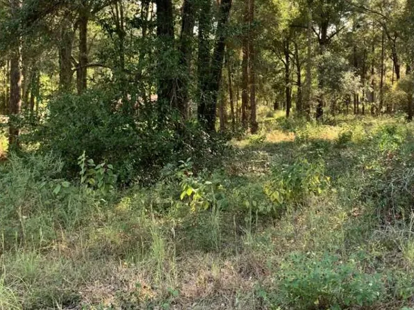 NE Northwood Dr #2, Mayo, FL 32066