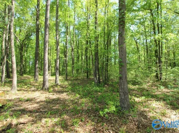 LOT 29 Ennis Rd, Athens, AL 35613